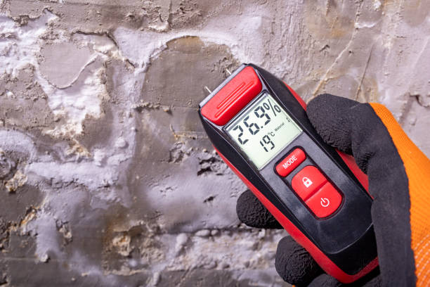 Best Attic Mold Remediation in Pontiac, MI