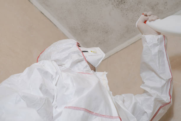 Best Emergency Mold Remediation in Pontiac, MI