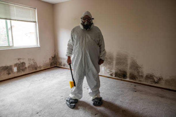 Best Bathroom Mold Remediation in Pontiac, MI